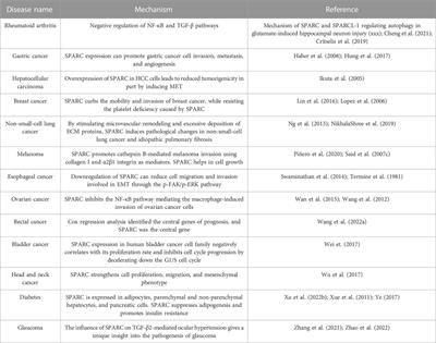 SPARC: a potential target for functional nanomaterials and drugs